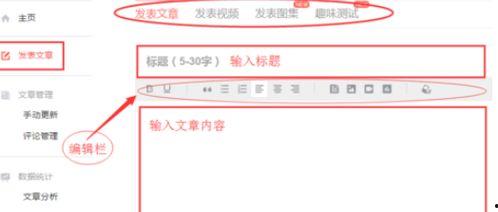 头条发文怎么就被推荐,如何轻松获得推荐与关注