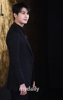 李  宪韩国明星,韩国明星的璀璨星途与魅力人生