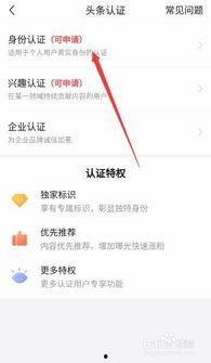 头条能认证多个身份吗,一账号多身份，解锁无限可能