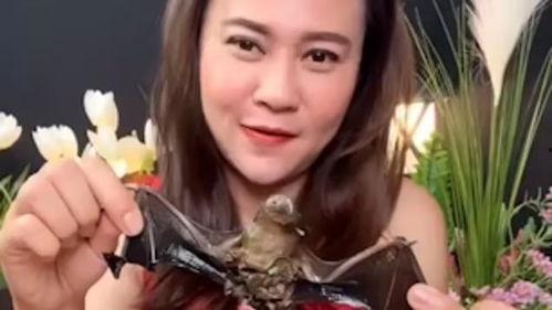 吃蝙蝠网红,揭秘网络传播背后的真相与反思