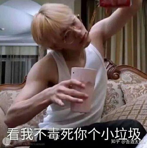 沙雕明星受,笑料百出，娱乐无限