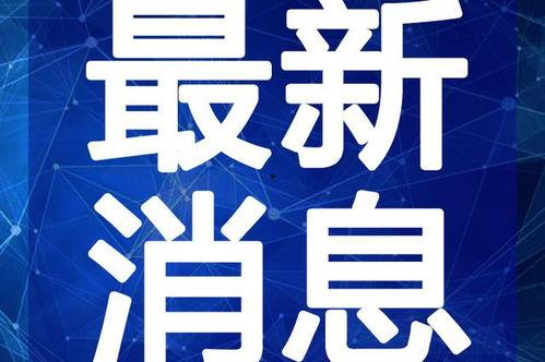 太阳姐姐爆料视频大全最新,揭秘娱乐圈幕后真相