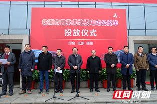 株洲红网4月4日,聚焦时事热点，共话发展新篇