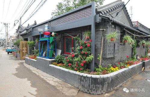 奥比岛2025最新彩蛋爆料