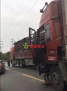 网友爆料货车视频大全集