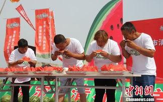 河北清苑吃瓜比赛,一场别开生面的吃瓜大赛盛况回顾”