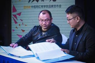 网红与品牌合作协议,揭秘合作协议背后的秘密