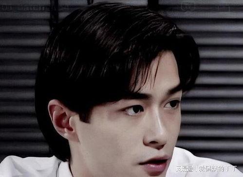 男明星不好看,那些不被看好却实力出众的璀璨星辰