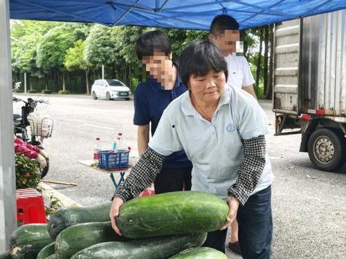 54岁沪上阿姨吃瓜,揭秘娱乐圈幕后真相！”