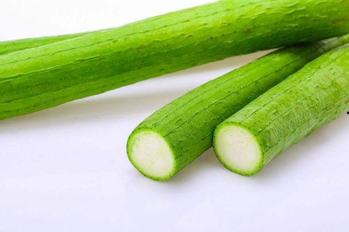 老人吃生瓜视频,健康饮食新风尚