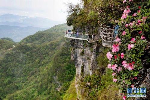 今日头条龙头山图片,自然奇观与人文历史的交融之地