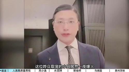 很火被封杀的网红,揭秘被封杀的火爆网红背后的故事