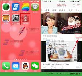 头条有视频搜索功能,视频搜索，一键直达精彩内容