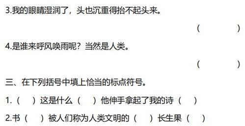 五字网红词语,揭秘网络流行语背后的文化现象”