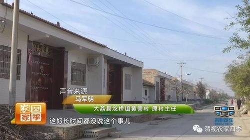 大荔区东郊街道新闻头条,聚焦大荔区最新动态
